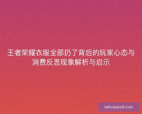 王者荣耀衣服全部扔了背后的玩家心态与消费反思现象解析与启示